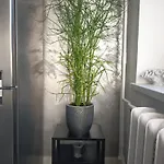 Apartment Appartement Tallinn