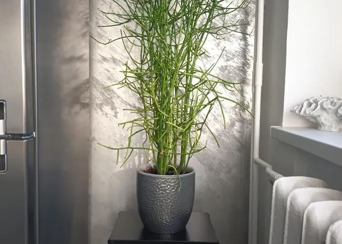 Apartment Korter Tallinn