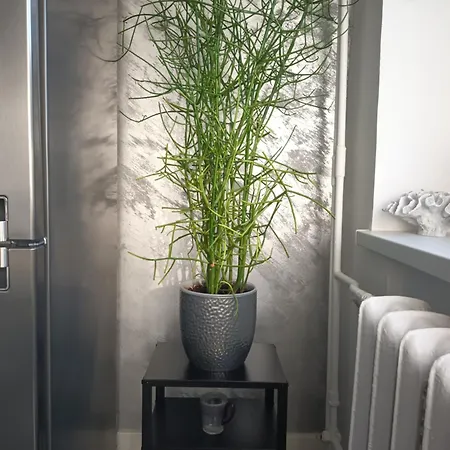 Apartment Appartement Tallinn